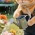 The Amazing Garden Adventures Of Cat Shorts Shortsfeed Cuteanimals