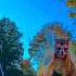 ROLL Music 80smusic Vinyl Song Rock Furry Furrion Musicgenre Therian Furrie