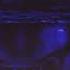 KSLV Amnesia Slowed Reverb