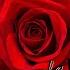 La Vie En Rose Paolo Ortelli Remix