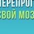 Гормоны счастья Как приучить мозг вырабатывать серотонин дофамин эндорфин и окситоцин Бройнинг