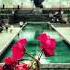 Platinum Monkey Heavenly Garden Original Mix