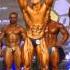 KAT M BODY MPP W Kulturystyce I Fitness NAC Ciechanów 2014 Olimp Sport Nutrition