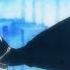 AMV Black Rock Shooter NO SCARED