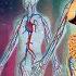 Human Body Science For Kids Rock N Learn