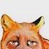 How A Red Fox Howling Sound Sound Effect Animation