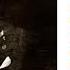 Introduction And Rondo Capriccioso Op 28 Andante