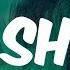 100 Shots Lyrics Young Dolph