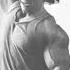 Arnold Triceps