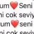 Seni Sevirem V T