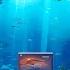Underwater Room Chillout Relaxing Lofi Hip Hop Mix