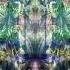 Eternity Ashuo Baba Shamanism Experience VA Visionary Experience
