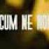 Carla S Dreams Ft Delia Cum Ne Noi Official Video