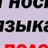 Польский язык Весь В1 Часть 2 Уроки с 17 по 57