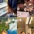 SOMEBODYS WATCHING ME 1 2 3 Or 4 Shorts Tiktok Viral Dance Cute Funny Trend