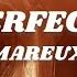The Perfect Girl Mareux Retrowave Remix