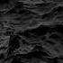 White Thorns Black Rose First Part Only