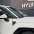 The 2025 Hyundai Santa Fe Ultimate Calligraphy Major Changes Coming Soon