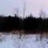 Windy Woods Walk