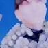 Heesung Slayed Bite Me Enhypen Kpop Bts Txt Jake Jay Sunoo Jungwon Engene