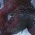 TEKKEN 8 Reveal Trailer