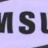 Samsung Logo History In G Major 74 BUT REVERSED