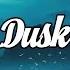 Dusk Beautiful Chillstep Mix 2017