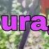 Sao2 Op2 Courage Lyrics ROM ENG