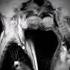 French Kissing Captured Under MRI