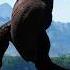 A Pachycephalosaur Descent Into Bonkititis