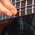 Funk Rock Cortex Bass Grooves