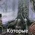 ЧТО ТАКОЕ МАКРОВСЕЛЕННАЯ ТОДЭШ