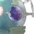 セパレイト 歌ってみた もじぞぅ