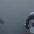Freediving Eddystone