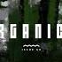 Whiplash Original Mix