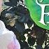 To The Fairies They Draw Near Tinker Bell Covered By Rachel Tail