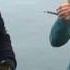 Harvesting Sea Vegetables From The California Coast