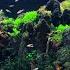 Healing Aquascape Fixed 3hours 4K HDR 60fps Water Sound