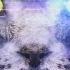 Space Cat Zodi Yuck
