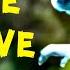 We Live We Love We Lie Meme Smurf Cat Song