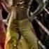 Pans People Nutbush City Limits TOTP TX 20 09 1973 Wiped