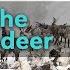 Tracking The White Reindeer SLICE Full Documentary