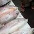 Fish Market Mini Shorts Fish Market 1200 Rs Karkara Kai Boltae Public Subscribe Pls