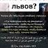 Ты не боишься львов