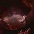 Slipknot All Out Life OFFICIAL VIDEO Subtitulado Al Español
