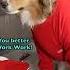 Fame Requires WORK According To Biscuit E632 3