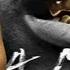 Tory Lanez LA Confidential Review