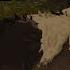 Attempting To Roleplay In ShadowClan Warrior Cats Ultimate Edition