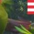Rio Real In Rio Ending English