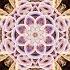 Mandala Power To The Flower